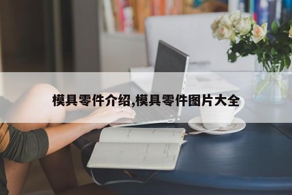 模具零件介绍,模具零件图片大全