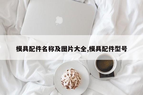 模具配件名称及图片大全,模具配件型号